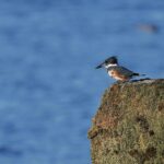 Geschützt: Blog Artikel